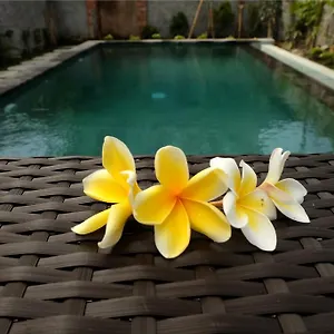 Gasthuis Eka Bali